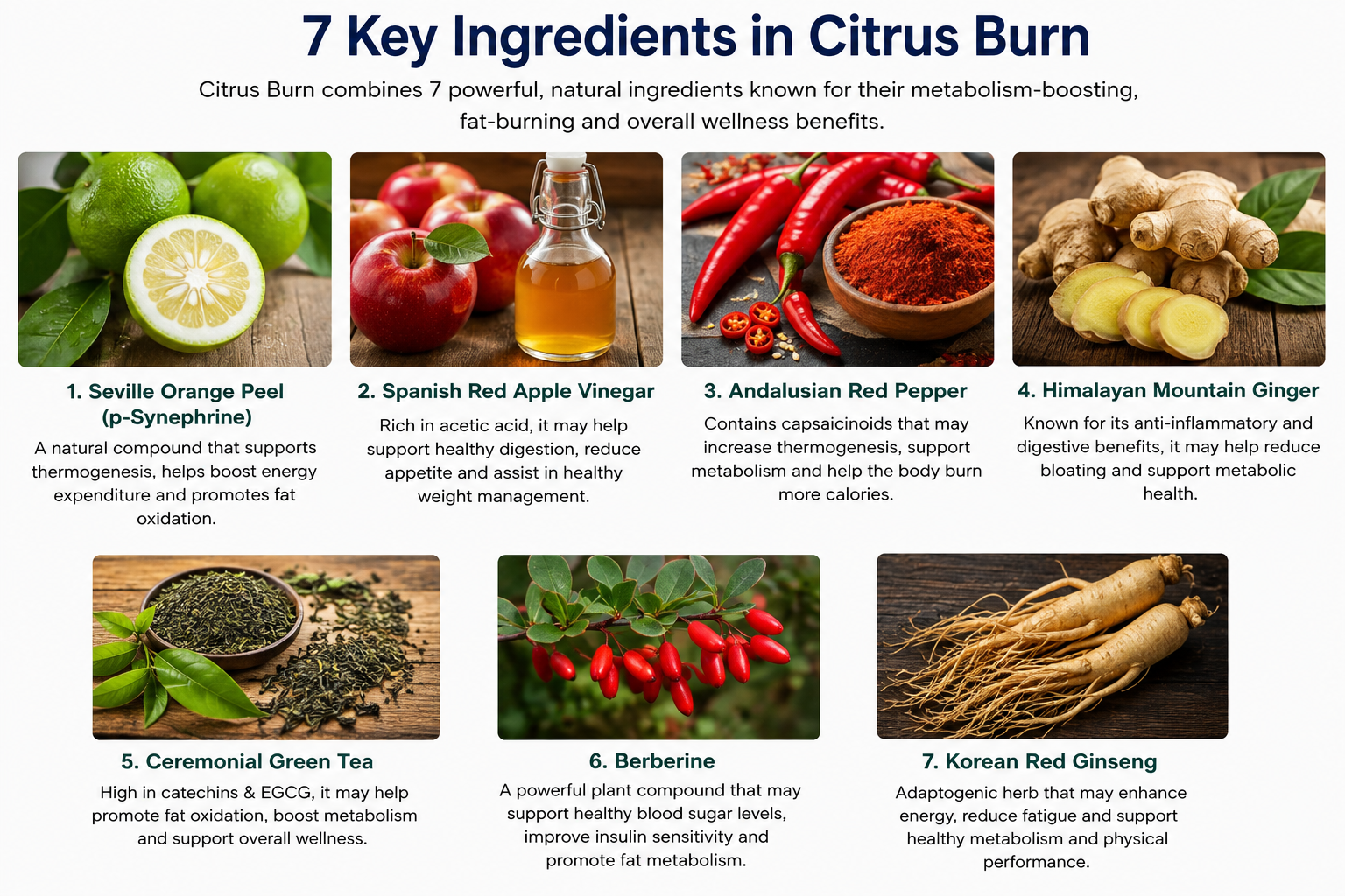 Seven key ingredients in Citrus Burn